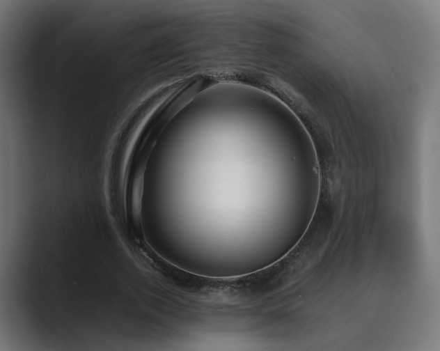 X0000089950728200706291211