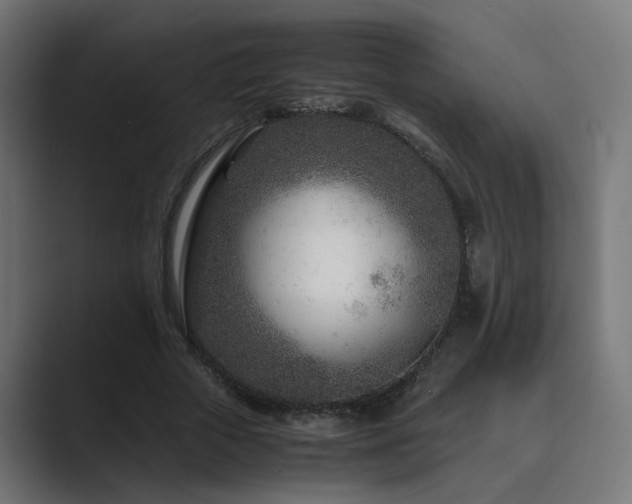 X0000089950729200706291211