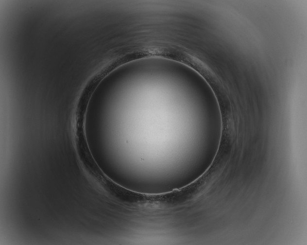 X0000089950730200706291211