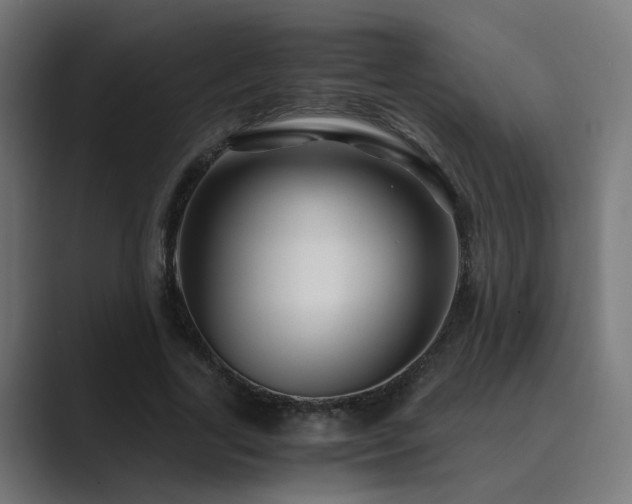X0000089950731200706291211