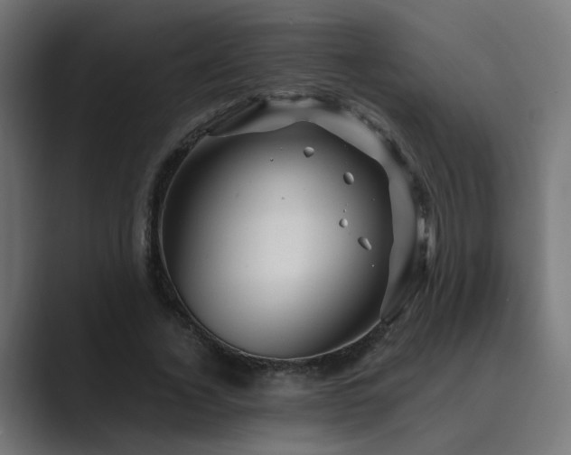 X0000089950732200706291211