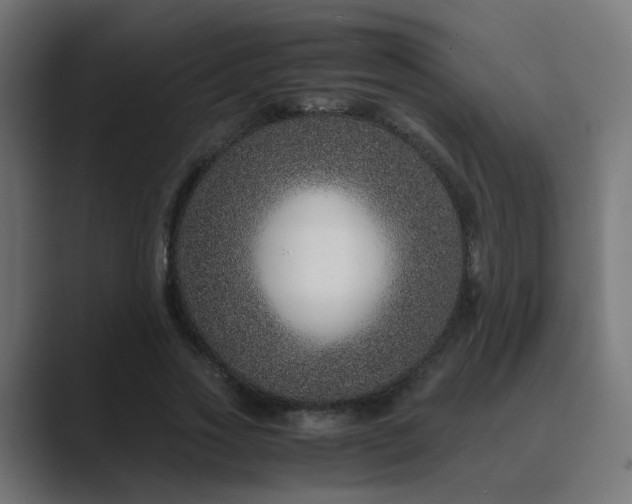 X0000089950733200706291211