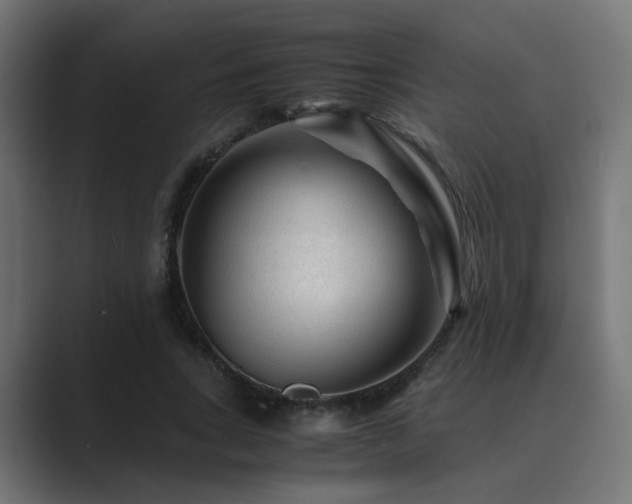 X0000089950735200706291211