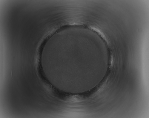 X0000089950736200706291211