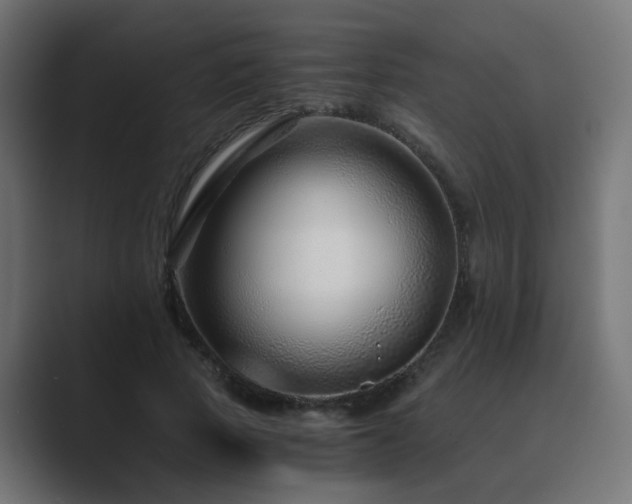 X0000089950737200706291211