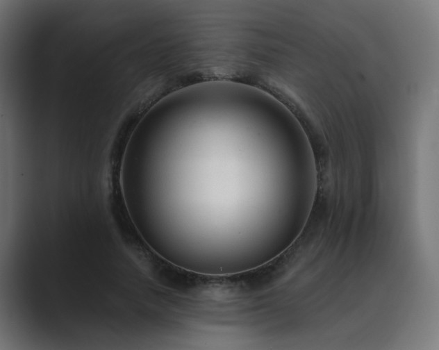 X0000089950738200706291211