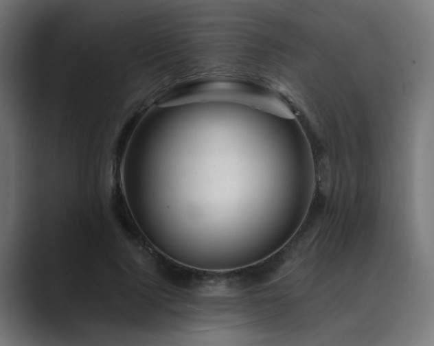 X0000089950740200706291211