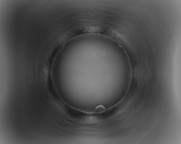 X0000089950741200706291211