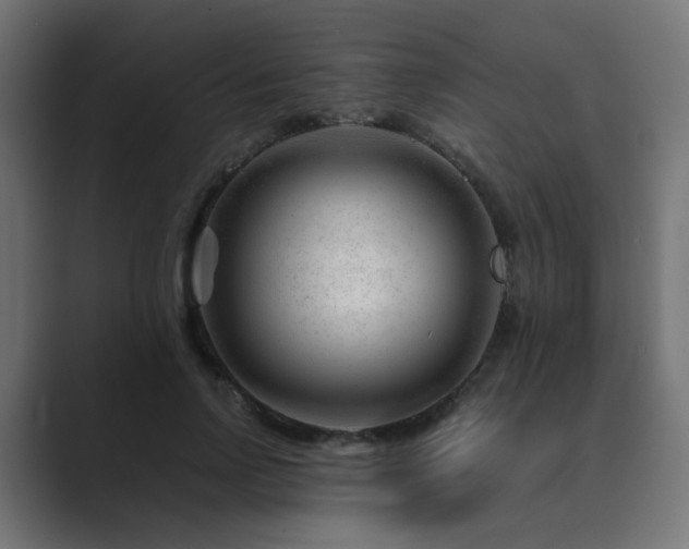 X0000089950742200706291211