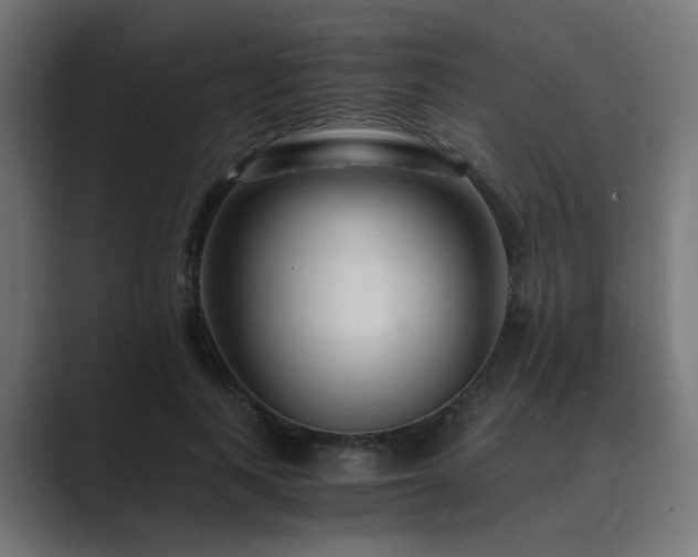 X0000089950743200706291211