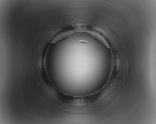 X0000089950744200706291211