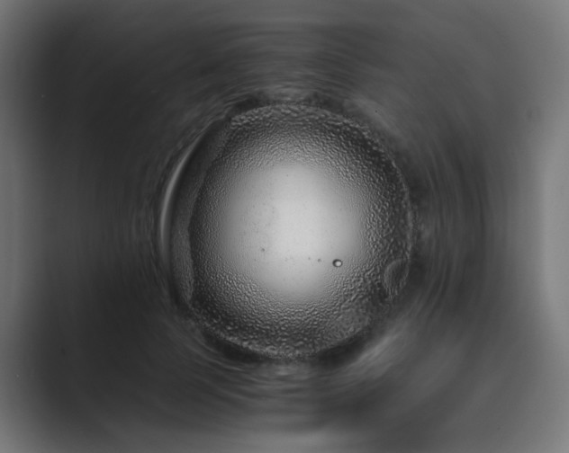 X0000089950745200706291211