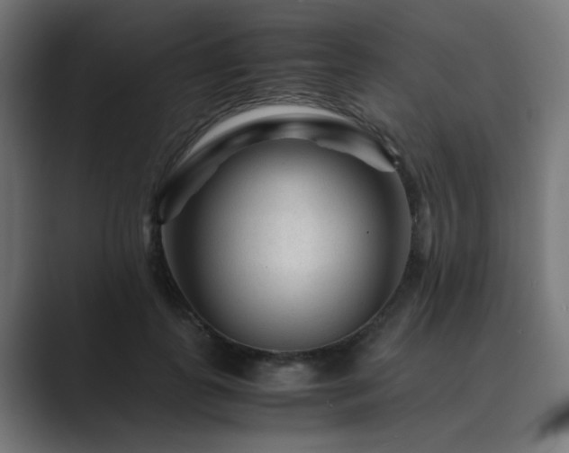 X0000089950747200706291211