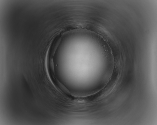 X0000089950749200706291211