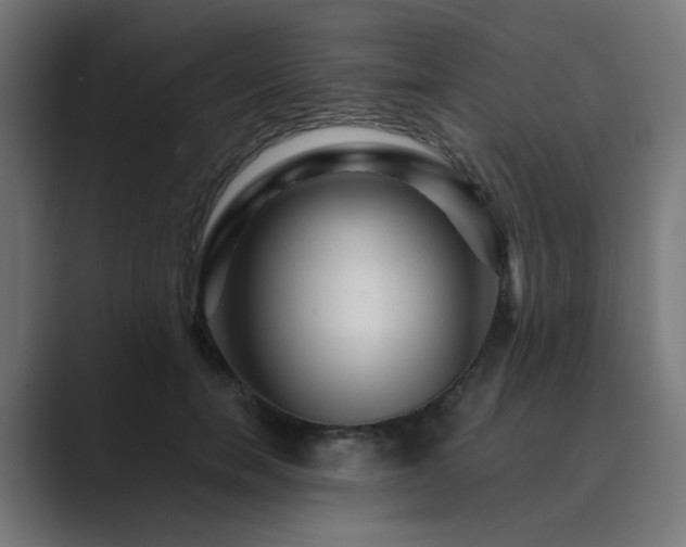 X0000089950750200706291211