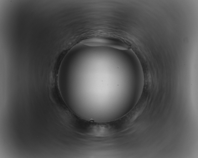 X0000089950751200706291211