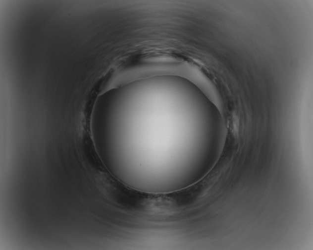 X0000089950752200706291211