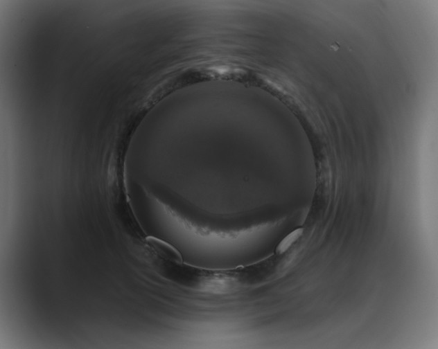 X0000089950754200706291211