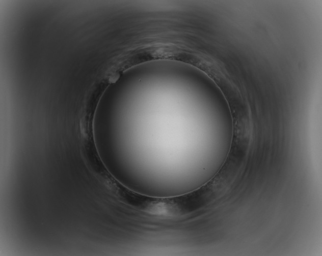 X0000089950755200706291211