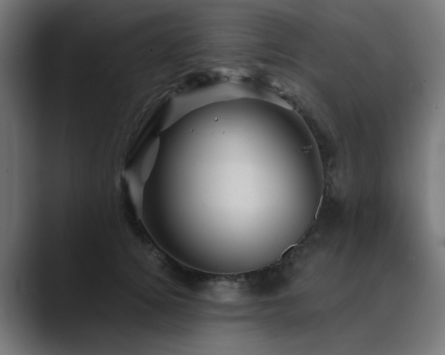X0000089950756200706291211