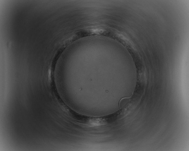 X0000089950757200706291211