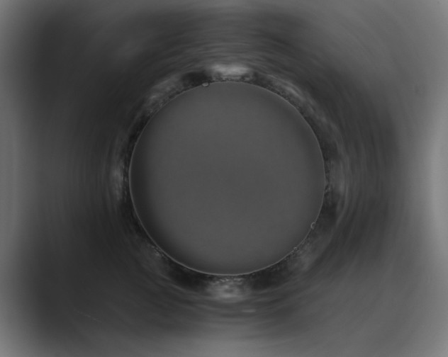 X0000089950761200706291211