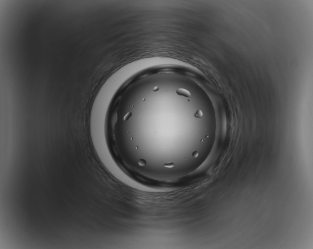 X0000089950762200706291211
