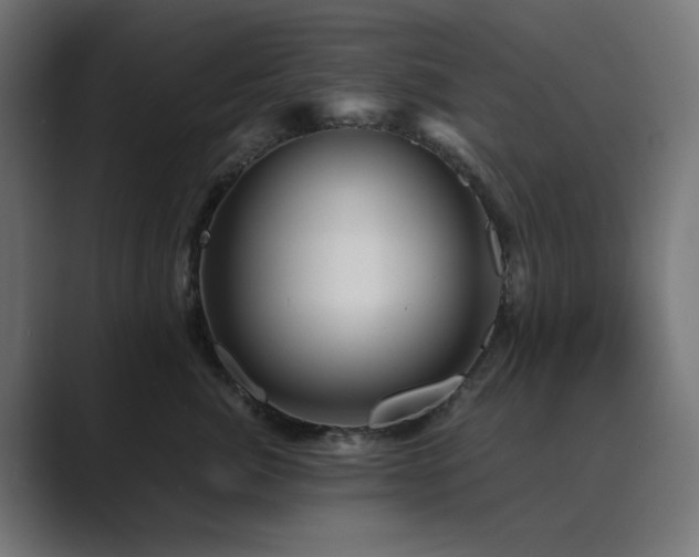 X0000089950764200706291211