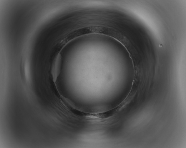 X0000089950765200706291211