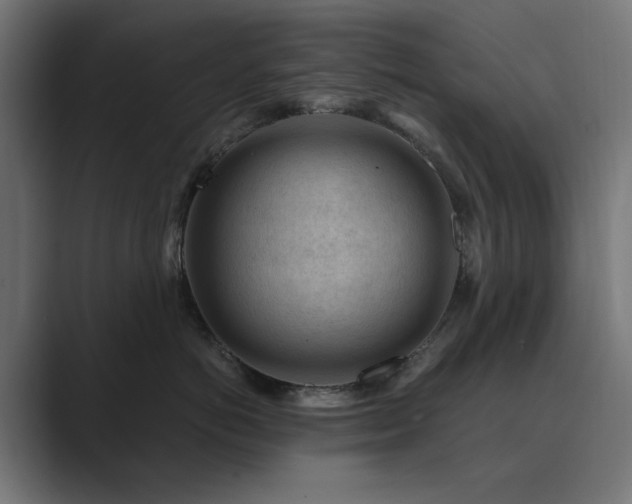 X0000089950766200706291211