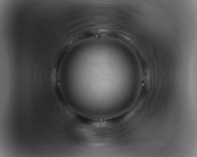 X0000089950767200706291211
