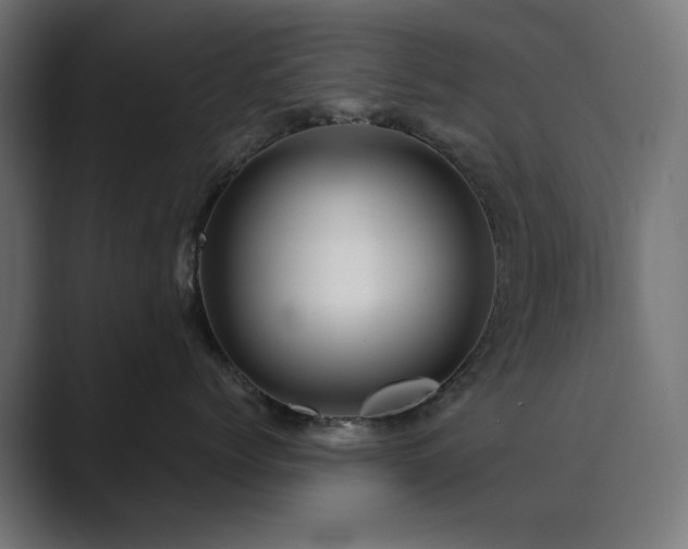 X0000089950768200706291211