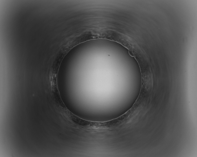 X0000089950770200706291211