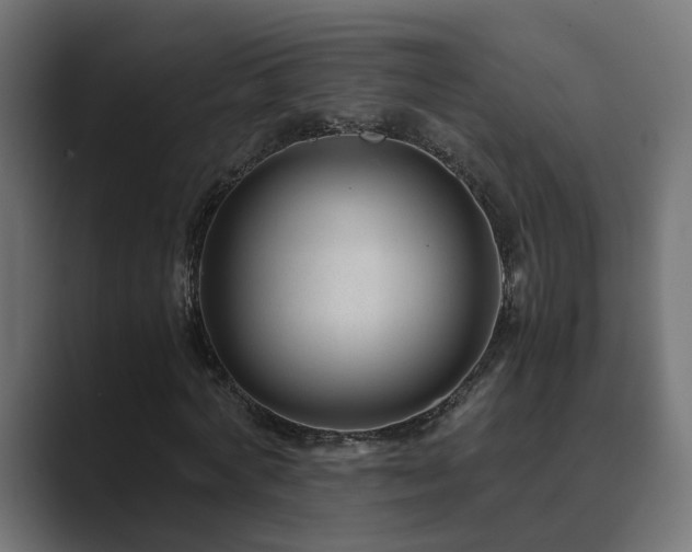 X0000089950772200706291211