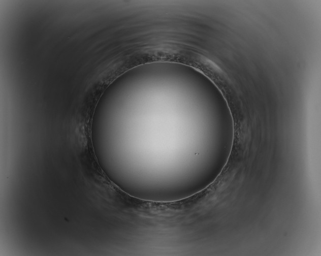 X0000089950774200706291211