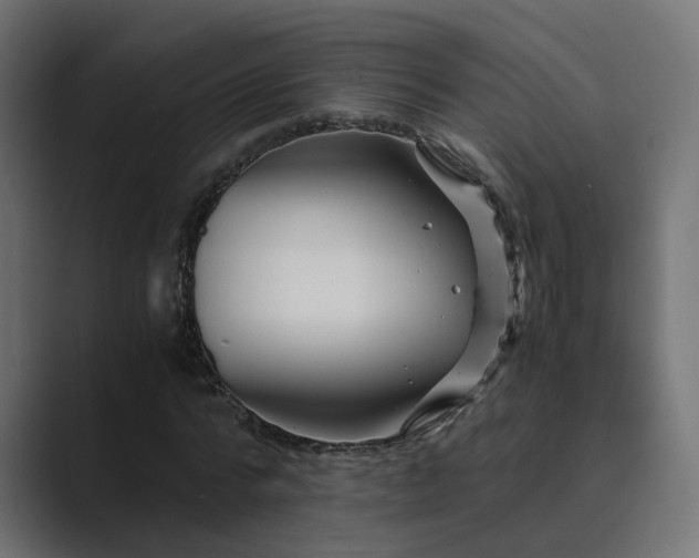 X0000089950776200706291211