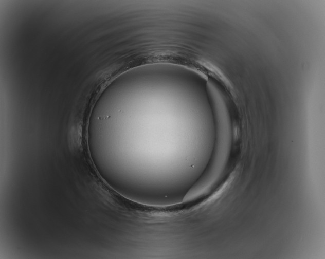 X0000089950777200706291211