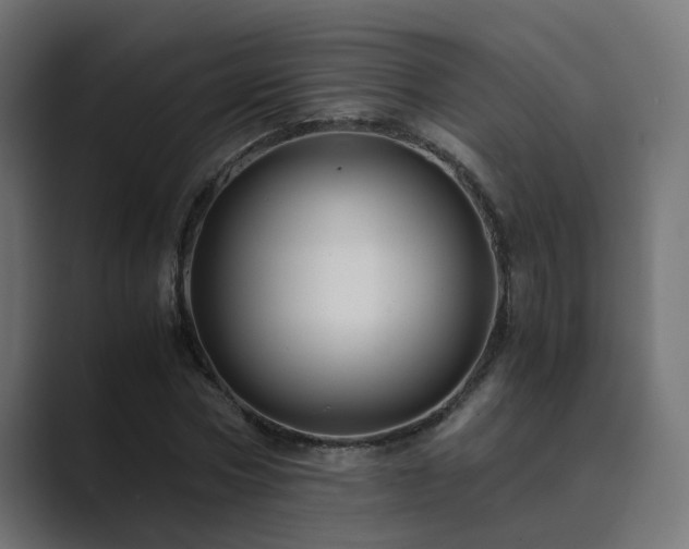 X0000089950778200706291211