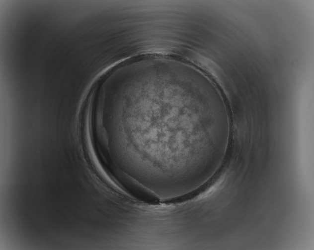 X0000089950779200706291211