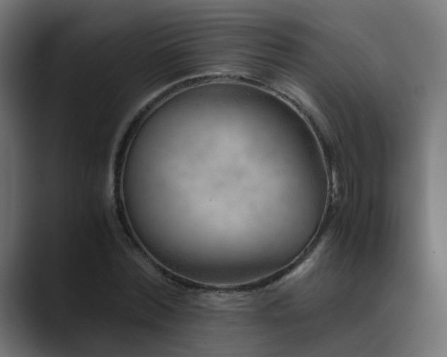 X0000089950780200706291211