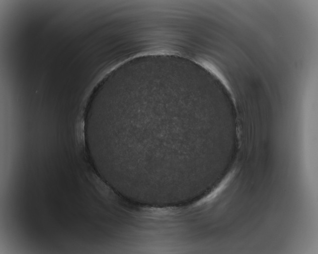 X0000089950781200706291211