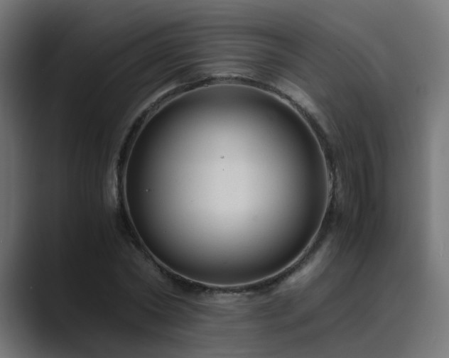 X0000089950782200706291211