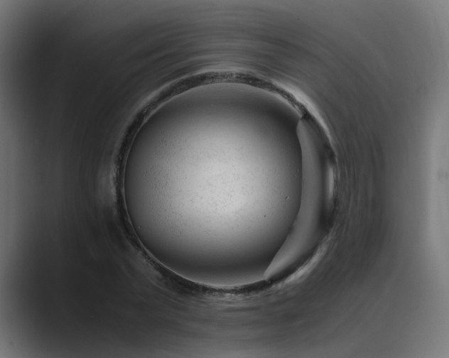 X0000089950783200706291211