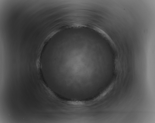 X0000089950785200706291211