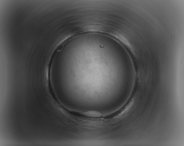 X0000089950790200706291211