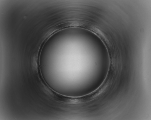 X0000089950794200706291211