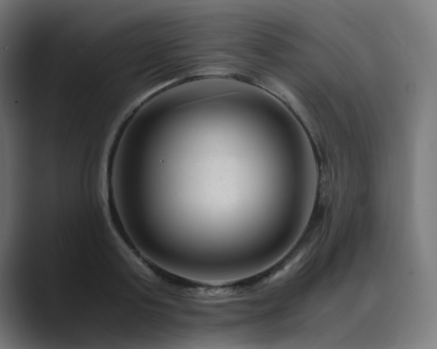 X0000089950795200706291211