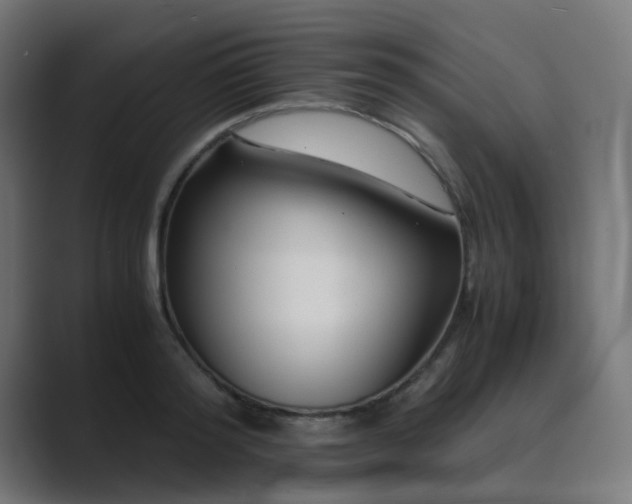 X0000089950796200706291211