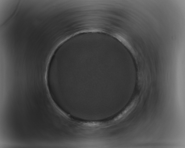 X0000089950797200706291211