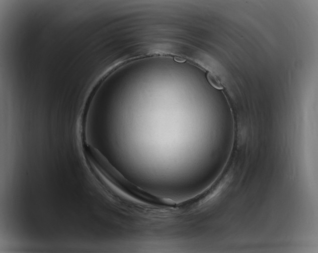 X0000089950798200706291210